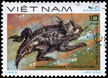 VIETNAM - CIRCA 1983: A Stamp printed in VIETNAM shows the image of a Coast Horned Lizard with the description Phrynosoma coronatum from the series Reptiles, circa 1983