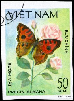 VIETNAM - CIRCA 1983: A Stamp printed in VIETNAM shows image of a Butterfly with the description Precis almana, series, circa 1983