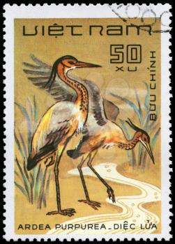 VIETNAM - CIRCA 1983: A Stamp shows image of a Purple Heron with the inscription Ardea purpurea from the series Water Birds, circa 1983