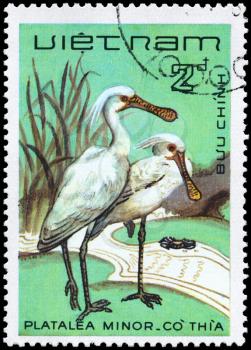 VIETNAM - CIRCA 1983: A Stamp shows image of a Black-faced Spoonbill with the inscription Platalea minor from the series Water Birds, circa 1983