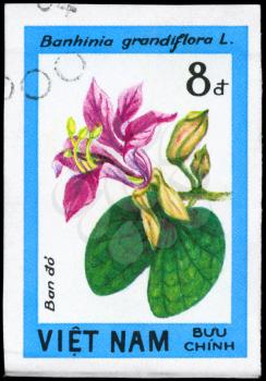 VIETNAM - CIRCA 1984: A Stamp printed in VIETNAM shows image of a Bauhinia grandiflora, from the series Wildflowers, circa 1984