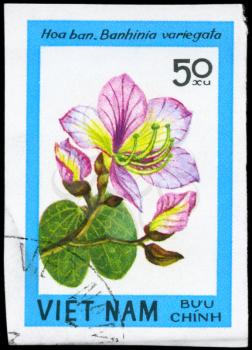 VIETNAM - CIRCA 1984: A Stamp printed in VIETNAM shows image of a Bauhinia variegata, from the series Wildflowers, circa 1984