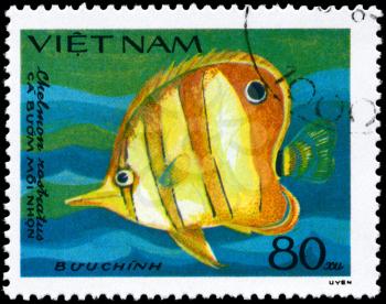 VIETNAM - CIRCA 1984: A Stamp printed in VIETNAM shows image of a Butterflyfish with the inscription Chelmon rostratus from the series Fish, circa 1984