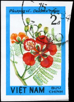 VIETNAM - CIRCA 1984: A Stamp printed in VIETNAM shows image of a Delonix regia, from the series Wildflowers, circa 1984