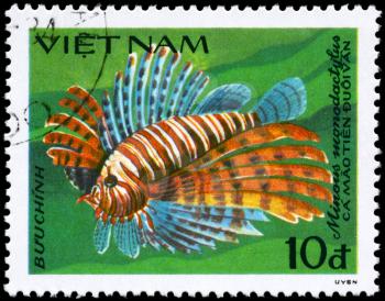 VIETNAM - CIRCA 1984: A Stamp printed in VIETNAM shows image of a Fingerfish with the inscription Minous monodactylus from the series Fish, circa 1984