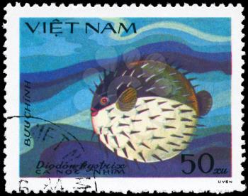 VIETNAM - CIRCA 1984: A Stamp printed in VIETNAM shows image of a Porcupinefish with the inscription Diodon hystrix from the series Fish, circa 1984