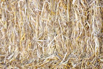 Royalty Free Photo of a Bale of Straw