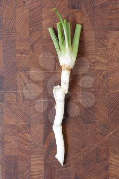 Royalty Free Photo of a Root of Horseradish