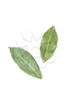 Royalty Free Photo of Bay Leaves