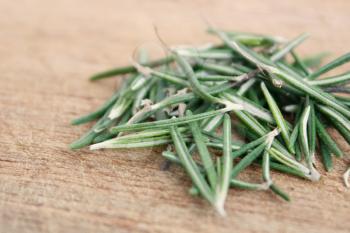 Royalty Free Photo of Rosemary Leaves
