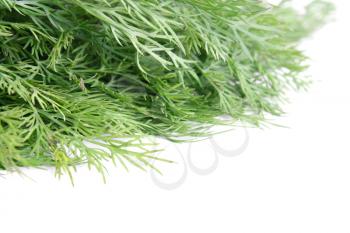 Royalty Free Photo of Fresh Dill