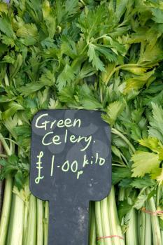 Royalty Free Photo of Celery