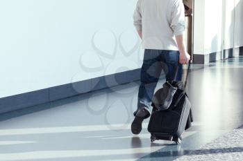 Royalty Free Photo of a Person Walking in an Airport