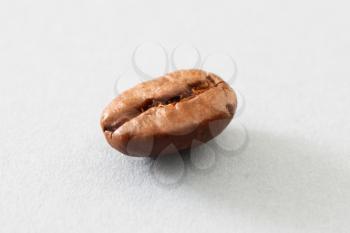 Royalty Free Photo of a Coffee Bean