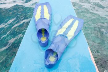 Royalty Free Photo of Water Fins