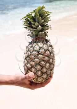 Royalty Free Photo of a Person Holding a Pineapple