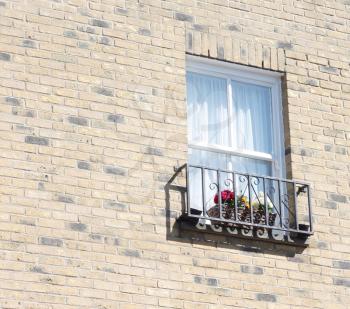 Royalty Free Photo of a Window  on a Building