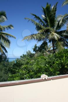 Royalty Free Photo of a Balcony Looking at Palm Trees