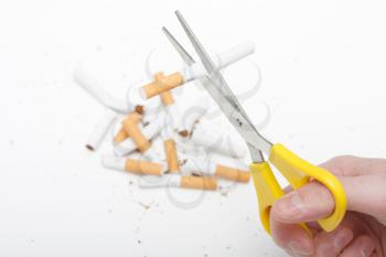 Royalty Free Photo of a Person Cutting Cigarettes