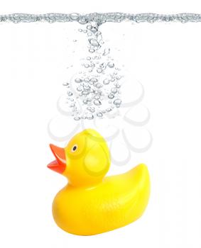 Royalty Free Photo of a Rubber Duck in Water