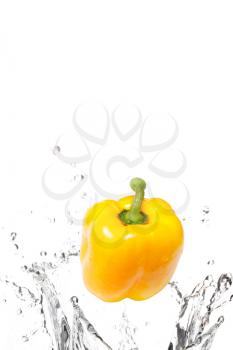 Royalty Free Photo of a Pepper in Water