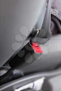 Royalty Free Photo of a Seatbelt