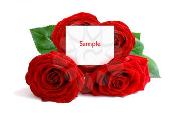 Royalty Free Photo of a Bunch of Roses