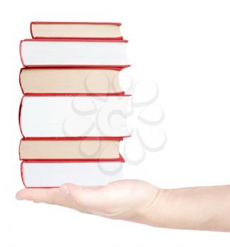 Royalty Free Photo of a Person Holding Books