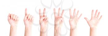 Royalty Free Photo of Numbers on Hands