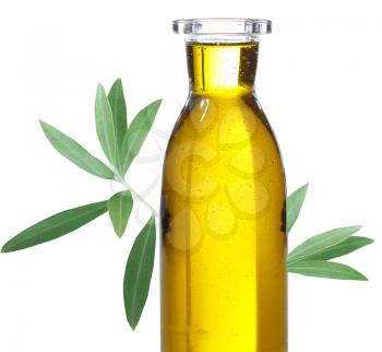 Royalty Free Photo of a Bottle of Olive Oil
