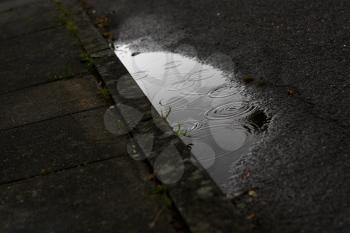Royalty Free Photo of a Puddle