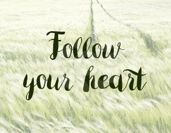 Follow your heart concept