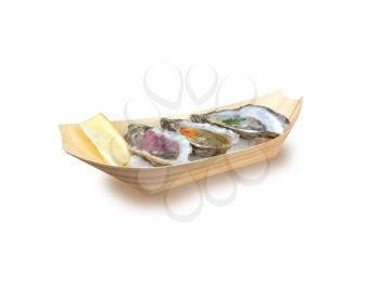 Oysters in a wooden plate