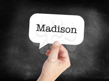 Madison written in a speechbubble 