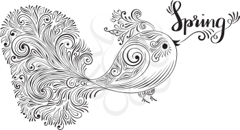 Vector Spring Greeting Card with singing ornamental bird