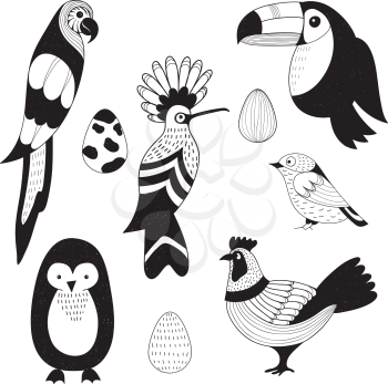 Vector set: birds and eggs. Parrot, toucan, hoopoy, rooster, penguin, sparrow. Scandinavian style.