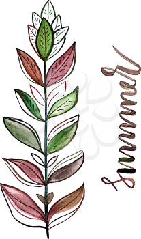 Vector summer greeting card with herb and lettering