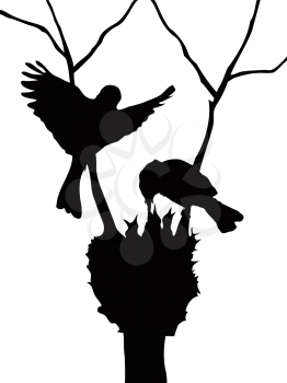 Royalty Free Clipart Image of Birds in a Nest