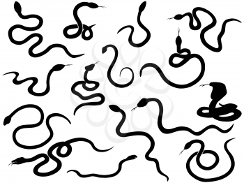 Royalty Free Clipart Image of Snake Silhouettes