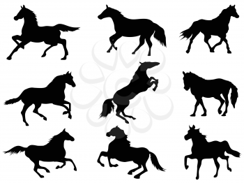 isolated black horse Silhouettes from white backlground 	 