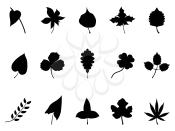 isolated black leaves Silhouettes set from white background