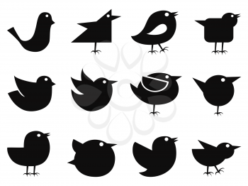 isolated black social bird icons from white background