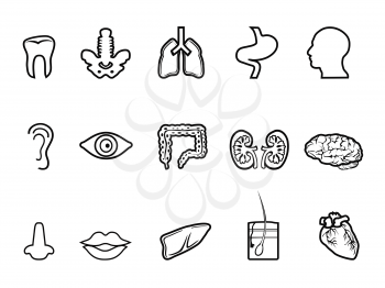 isolated black human anatomy outline icon from white background