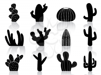 isolated cactus Silhouettes from white background