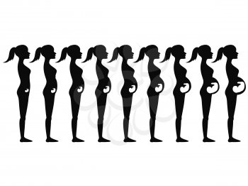 isolated pregnancy stages Silhouette from white background