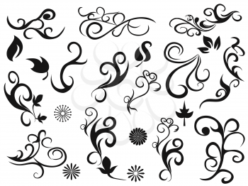 isolated black swirling decorative floral design elements from white background