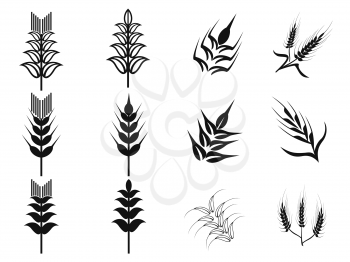 isolated black wheat icons set from white background