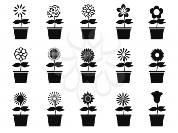 isolated pot flower plants icon set on white background