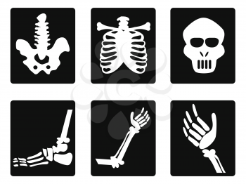 isolated X ray icons on white background