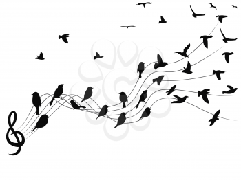 isolated black birds musical notes on white background